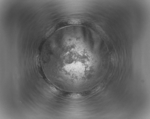 X0000061740322200512161656