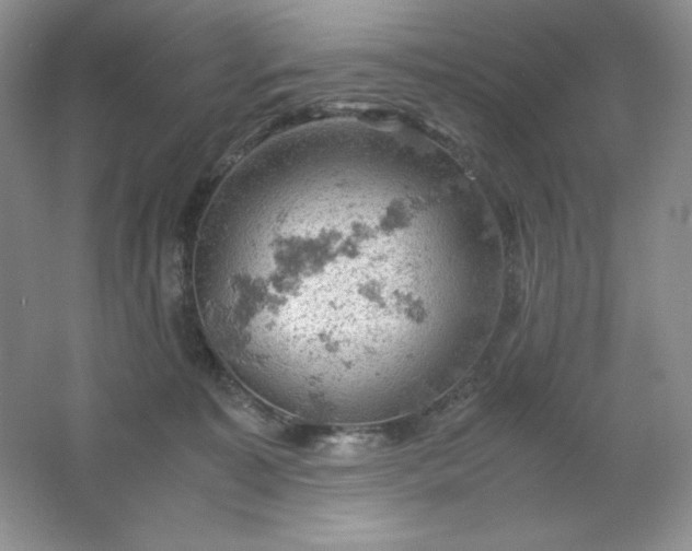 X0000061740323200512161656