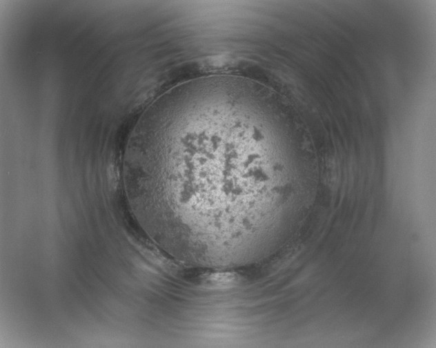 X0000061740324200512161656