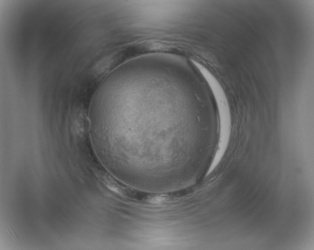 X0000061740325200512161656