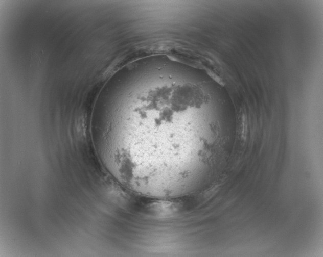 X0000061740326200512161656