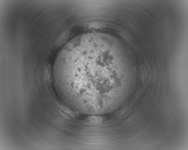 X0000061740328200512161656