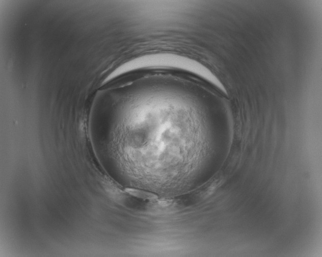 X0000061740329200512161656