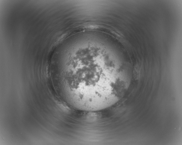 X0000061740330200512161656