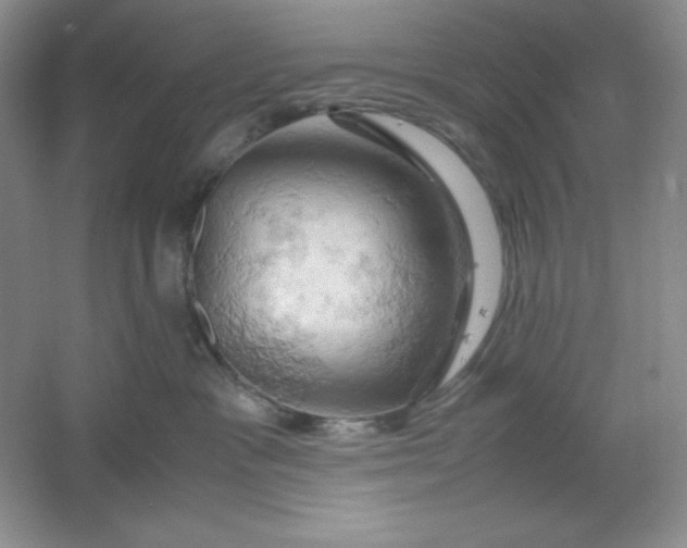 X0000061740333200512161656