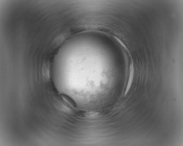 X0000061740334200512161656