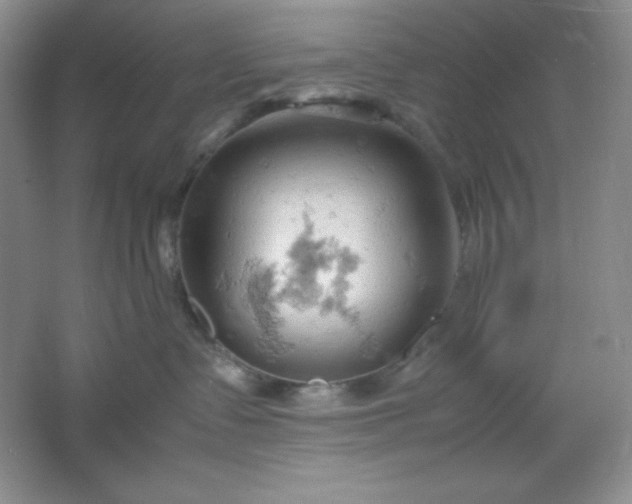 X0000061740335200512161656