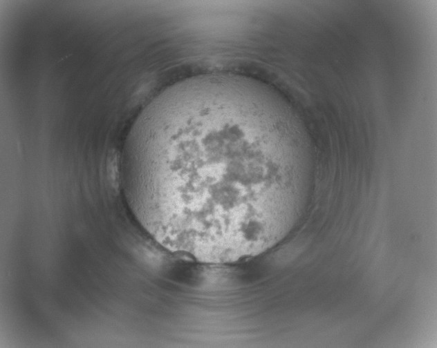 X0000061740336200512161656