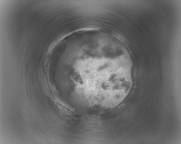 X0000061740337200512161655