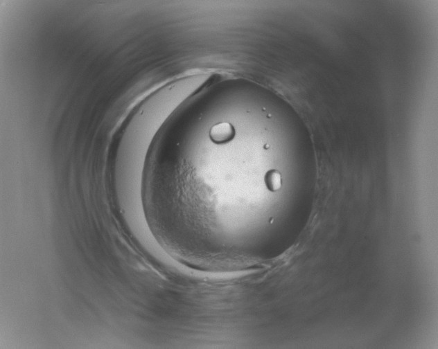 X0000061740338200512161655