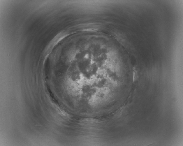 X0000061740339200512161655