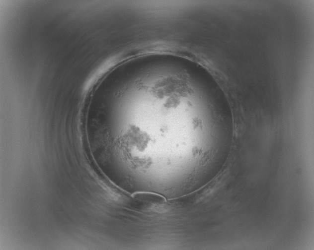 X0000061740341200512161655