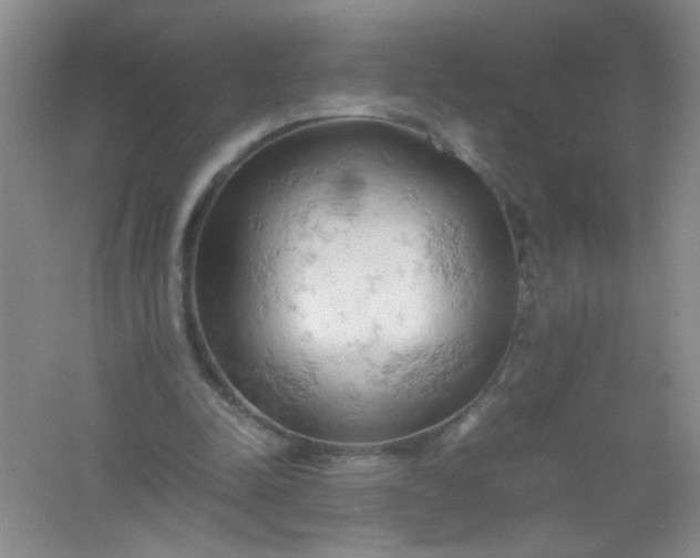 X0000061740342200512161655