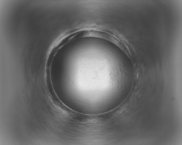 X0000061740344200512161655