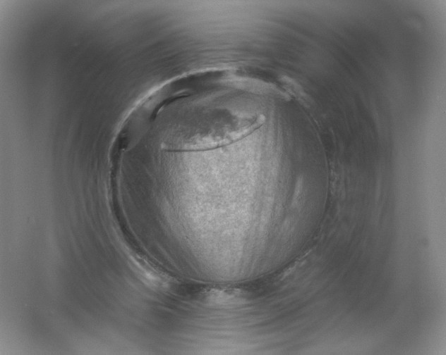 X0000061740346200512161656