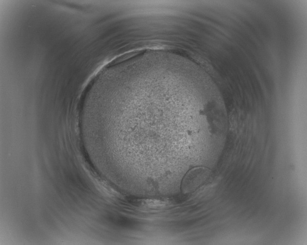 X0000061740347200512161656