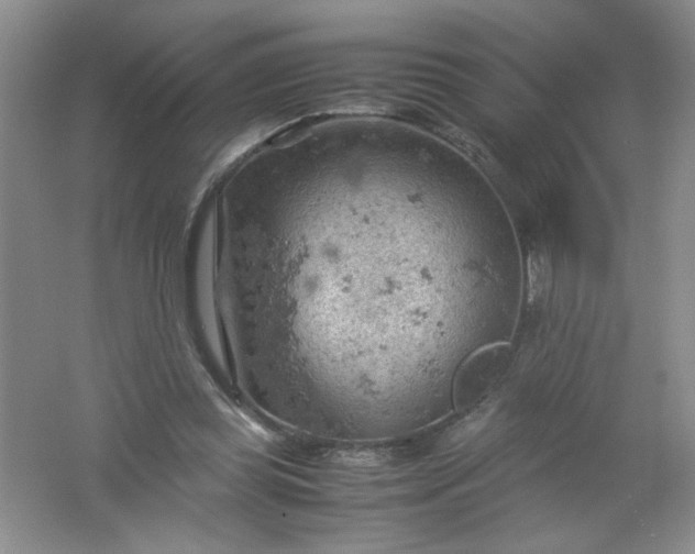 X0000061740349200512161656