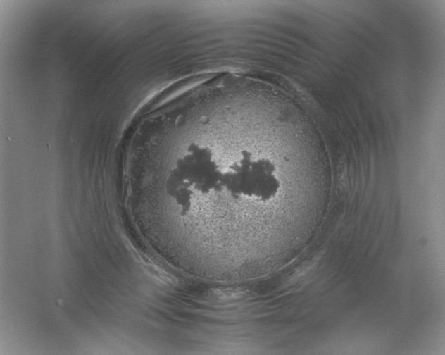 X0000061740351200512161656