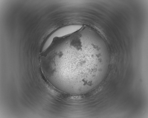 X0000061740353200512161656