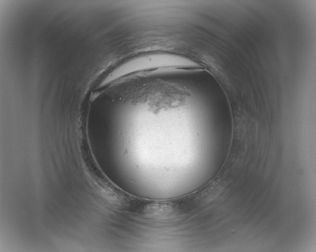 X0000061740354200512161656