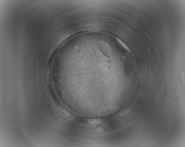 X0000061740355200512161656