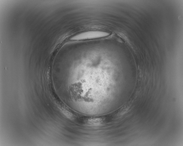 X0000061740357200512161656