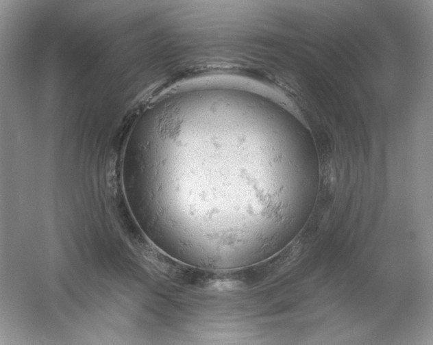 X0000061740360200512161656