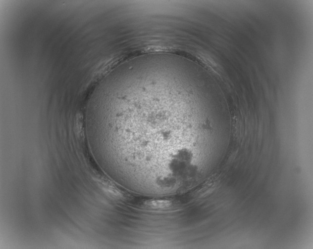 X0000061740361200512161656