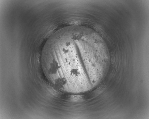 X0000061740363200512161656