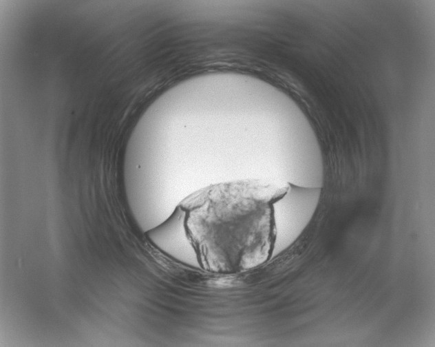 X0000061740365200512161656