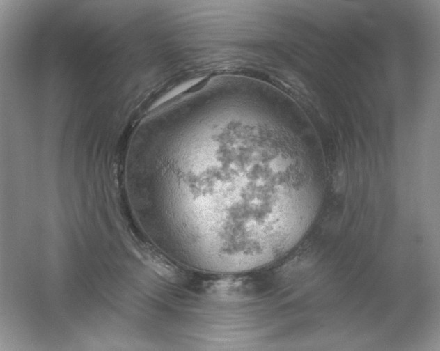 X0000061740366200512161656