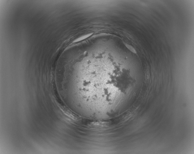 X0000061740367200512161656