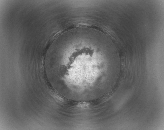 X0000061740369200512161656