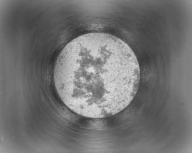 X0000061740370200512161656