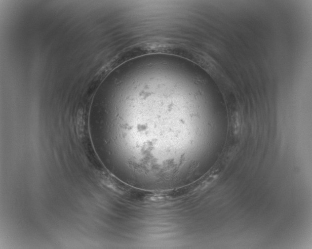 X0000061740372200512161656