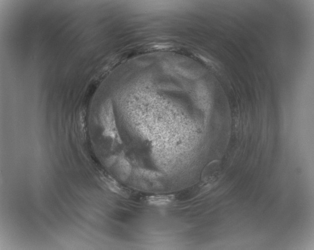 X0000061740373200512161656