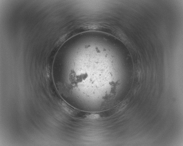 X0000061740374200512161656