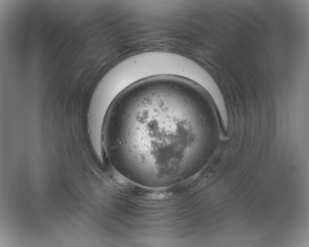 X0000061740375200512161656