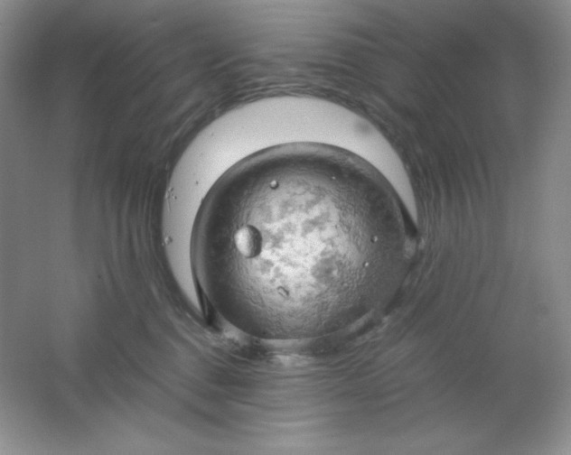 X0000061740376200512161656