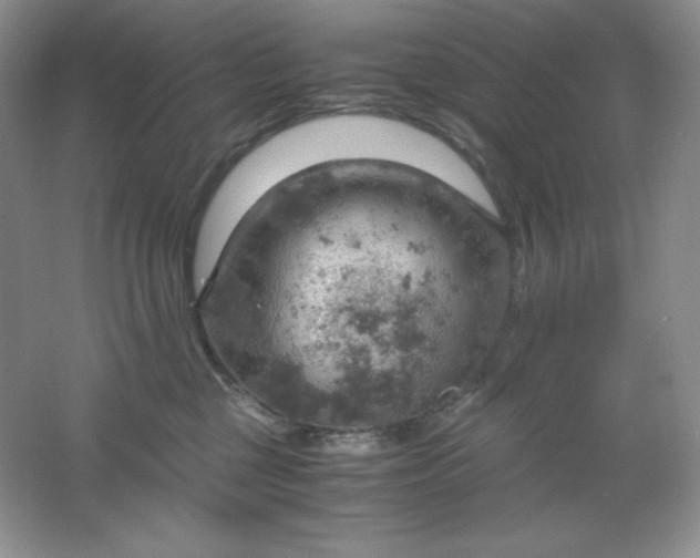 X0000061740377200512161656