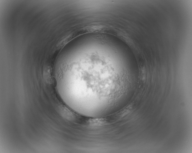 X0000061740378200512161656