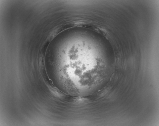 X0000061740379200512161656