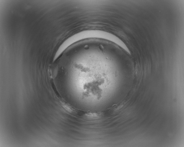 X0000061740381200512161656