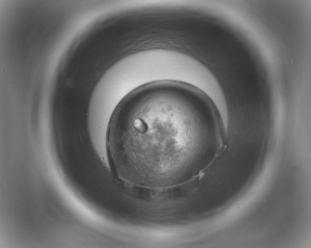 X0000061740382200512161656