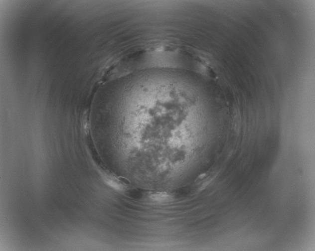 X0000061740383200512161656