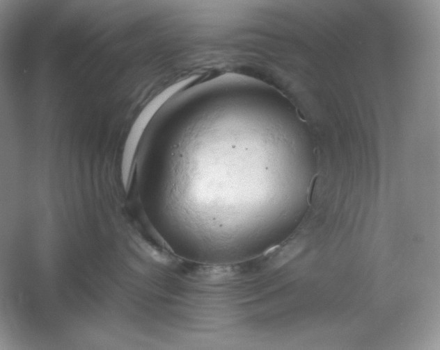 X0000061740384200512161656