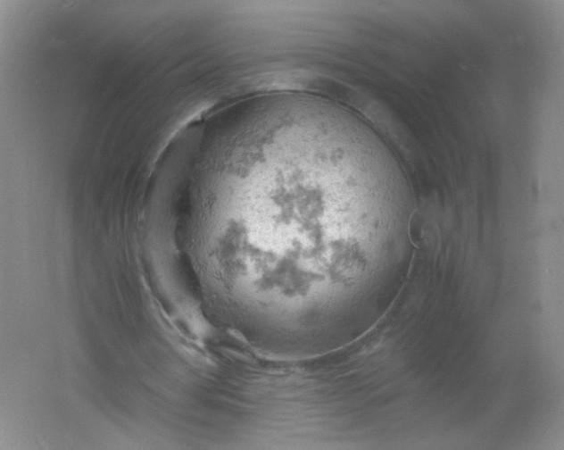 X0000061740386200512161655