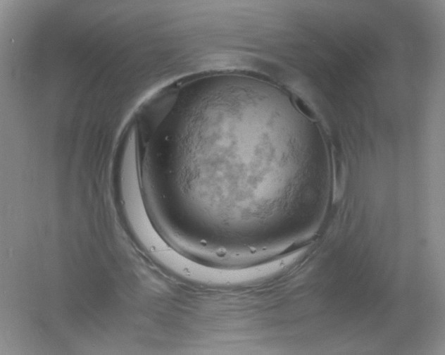 X0000061740387200512161655