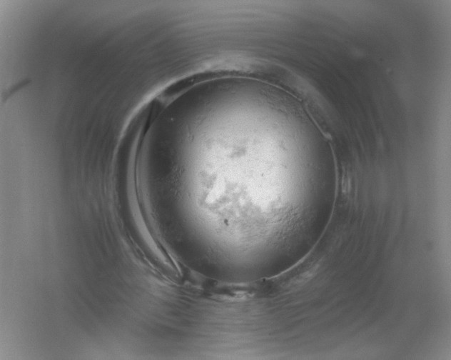 X0000061740388200512161655