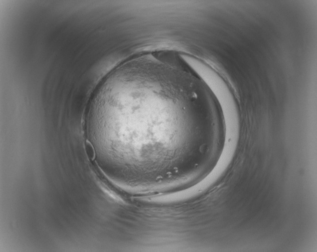 X0000061740389200512161655